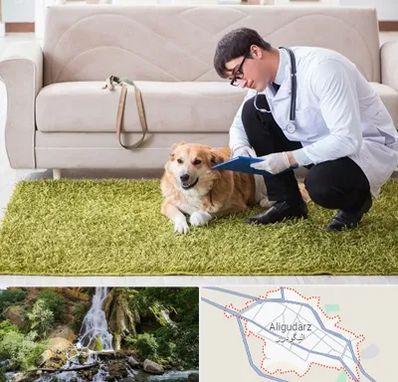 دامپزشکی در منزل در الیگودرز