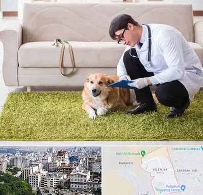 دامپزشکی در منزل در ولنجک 