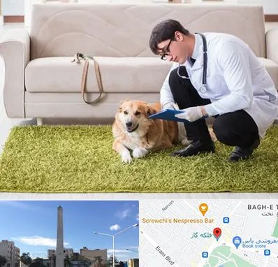 دامپزشکی در منزل در فلکه گاز شیراز