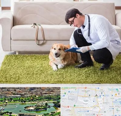 دامپزشکی در منزل در منطقه 9 تهران 