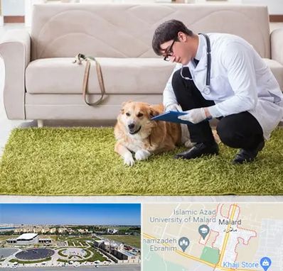 دامپزشکی در منزل در ملارد