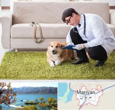 دامپزشکی در منزل در مریوان