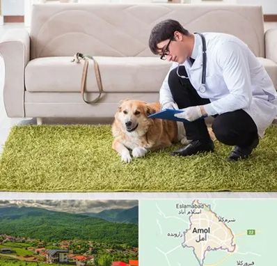 دامپزشکی در منزل در آمل