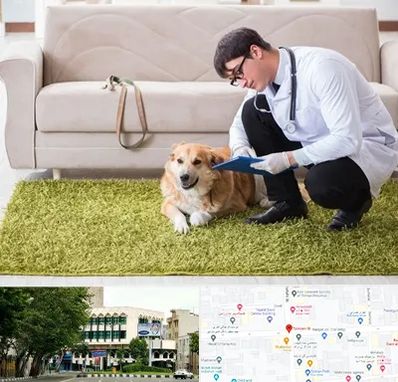 دامپزشکی در منزل در طالقانی 