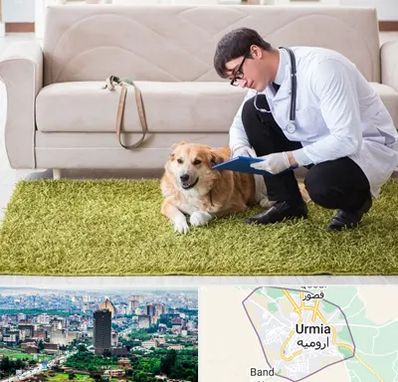 دامپزشکی در منزل در ارومیه