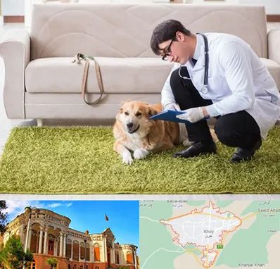 دامپزشکی در منزل در خوی