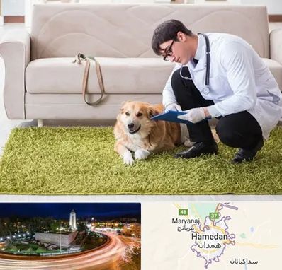 دامپزشکی در منزل در همدان