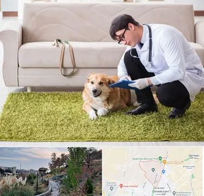 دامپزشکی در منزل در باغستان کرج