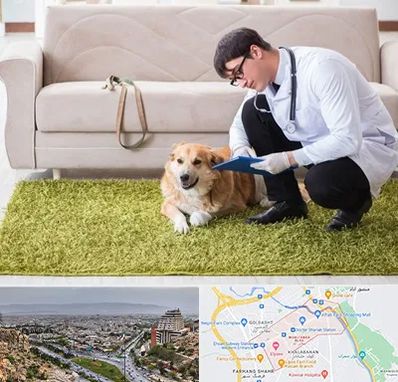 دامپزشکی در منزل در معالی آباد شیراز