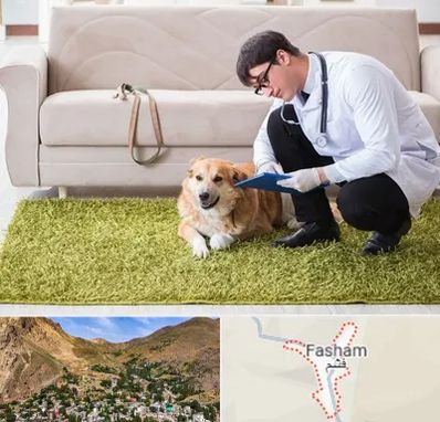 دامپزشکی در منزل در فشم