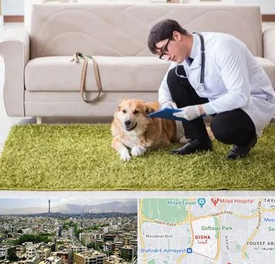 دامپزشکی در منزل در گیشا 