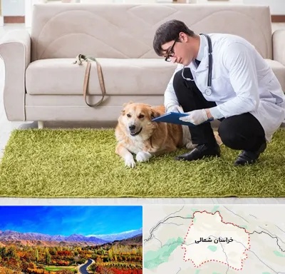 دامپزشکی در منزل در خراسان شمالی