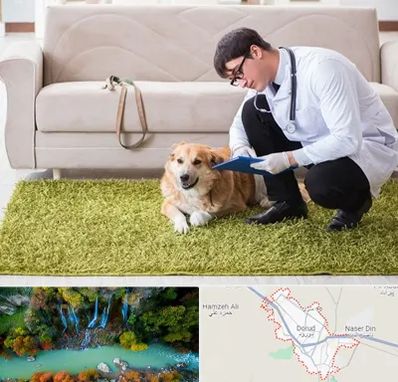 دامپزشکی در منزل در دورود