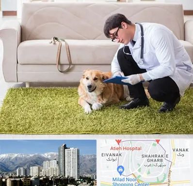 دامپزشکی در منزل در شهرک غرب 