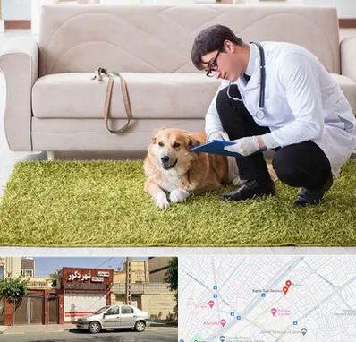 دامپزشکی در منزل در باجک قم