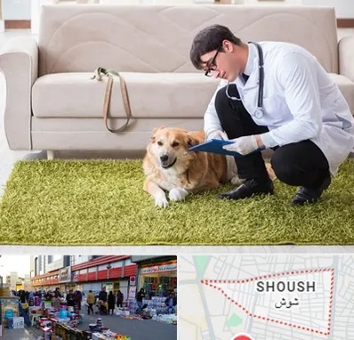 دامپزشکی در منزل در شوش
