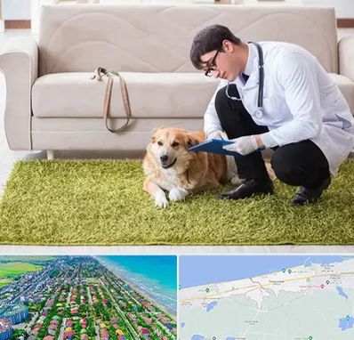 دامپزشکی در منزل در فریدونکنار