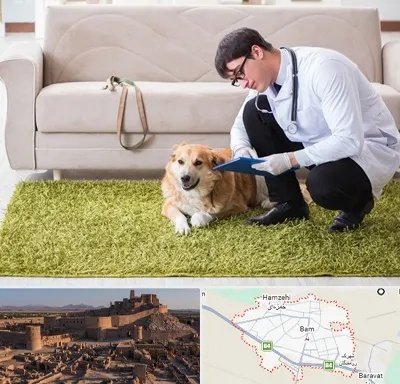 دامپزشکی در منزل در بم