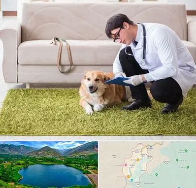 دامپزشکی در منزل در رودبار