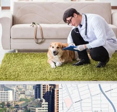 دامپزشکی در منزل در خیابان بهشتی