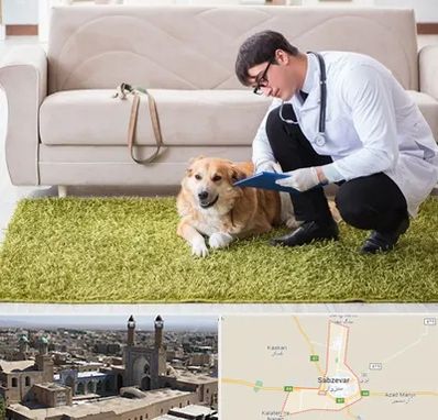 دامپزشکی در منزل در سبزوار