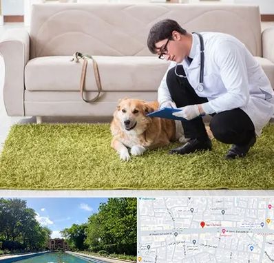 دامپزشکی در منزل در هشت بهشت اصفهان