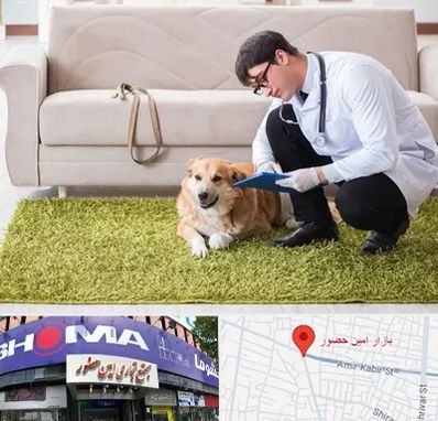 دامپزشکی در منزل در امین حضور