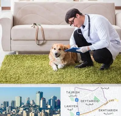 دامپزشکی در منزل در قیطریه 