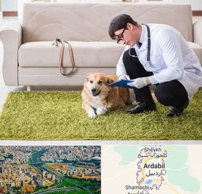 دامپزشکی در منزل در اردبیل