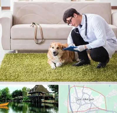 دامپزشکی در منزل در صومعه سرا