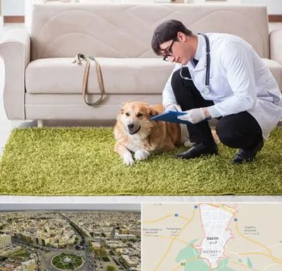 دامپزشکی در منزل در قزوین
