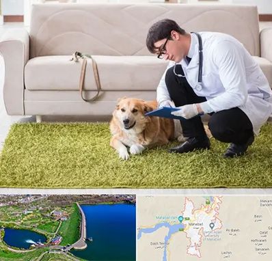 دامپزشکی در منزل در مهاباد