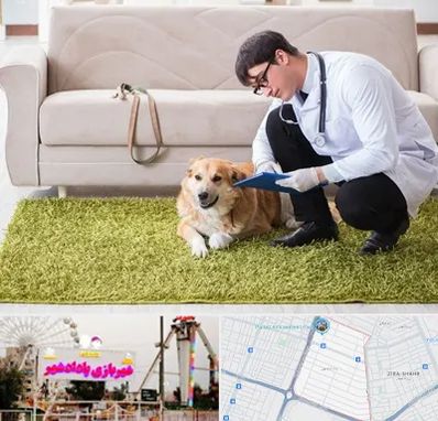 دامپزشکی در منزل در پادادشهر اهواز