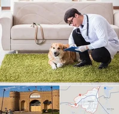 دامپزشکی در منزل در ایرانشهر