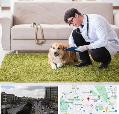 دامپزشکی در منزل در بلوار فردوسی مشهد 