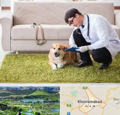 دامپزشکی در منزل در خرم آباد