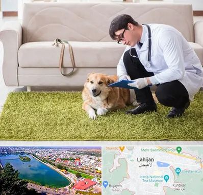 دامپزشکی در منزل در لاهیجان