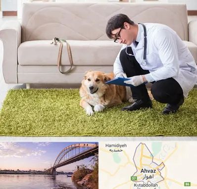 دامپزشکی در منزل در اهواز