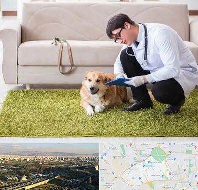 دامپزشکی در منزل در منطقه 19 تهران 