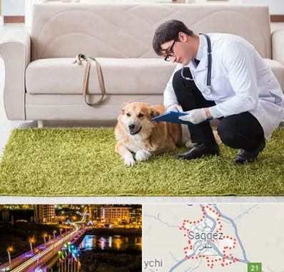 دامپزشکی در منزل در سقز