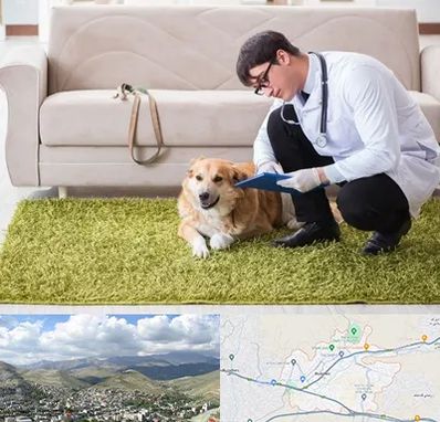 دامپزشکی در منزل در رودهن