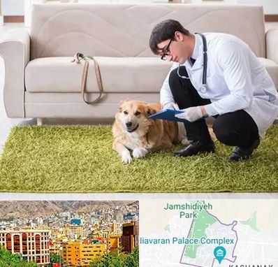 دامپزشکی در منزل در نیاوران 