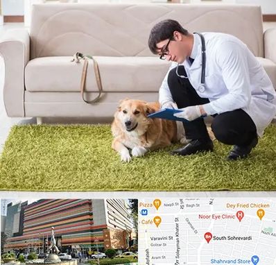 دامپزشکی در منزل در سهروردی 