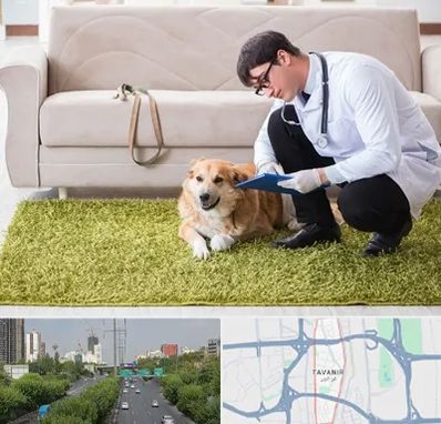 دامپزشکی در منزل در توانیر