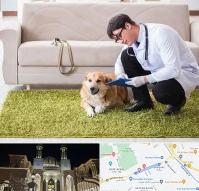 دامپزشکی در منزل در زرگری شیراز