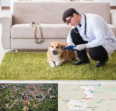 دامپزشکی در منزل در دماوند