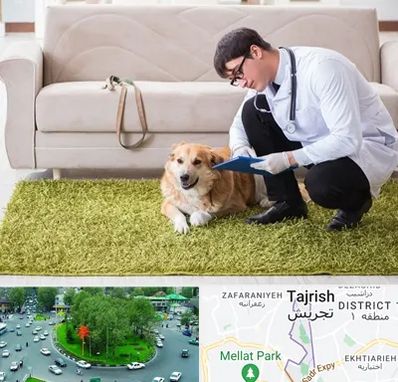 دامپزشکی در منزل در تجریش 