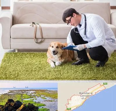 دامپزشکی در منزل در بندرلنگه