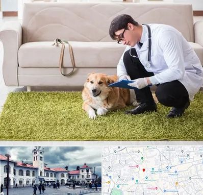 دامپزشکی در منزل در میدان شهرداری رشت