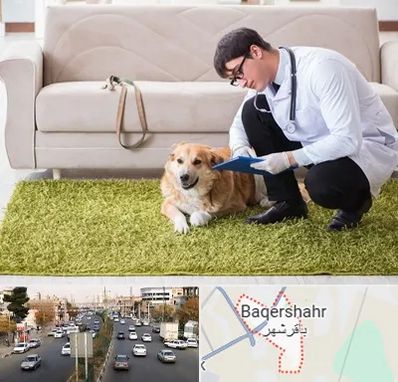 دامپزشکی در منزل در باقرشهر